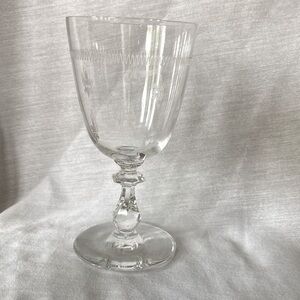 Bryce Pattern Etch 321 Water Goblet